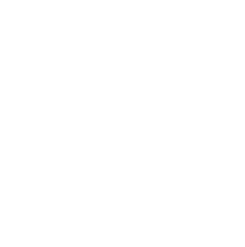 LD-SECURITE